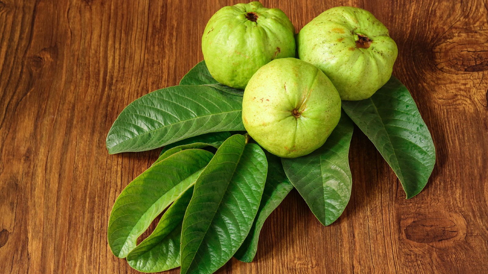 guava 